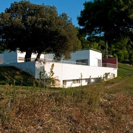 Villa Zagare Mattinata Kültér fotó