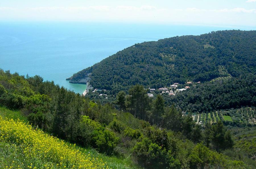 Villa Zagare Mattinata Kültér fotó